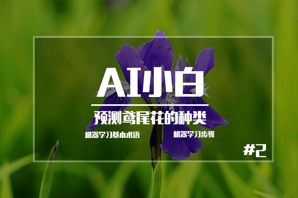 【AI小白】机器学习基本术语
