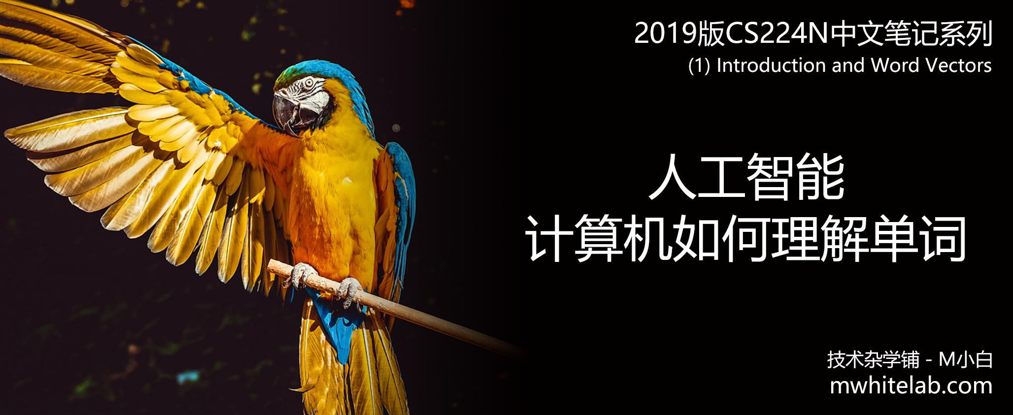 CS224N课堂笔记(1) Introduction and Word Vectors