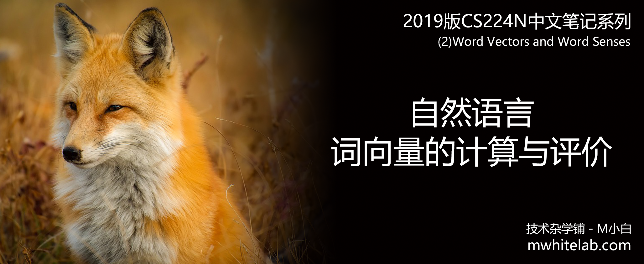 CS224N中文笔记(2)词向量的计算与评价