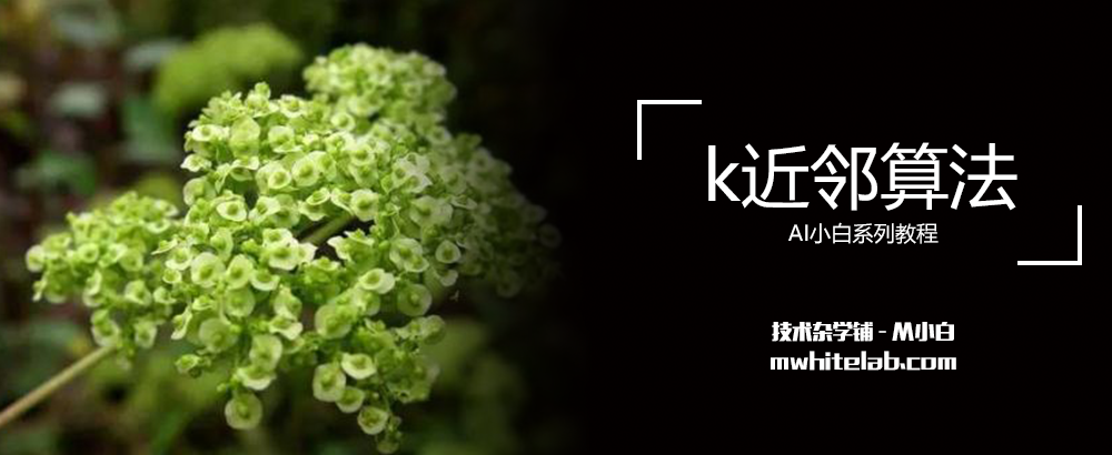 K近邻算法详解