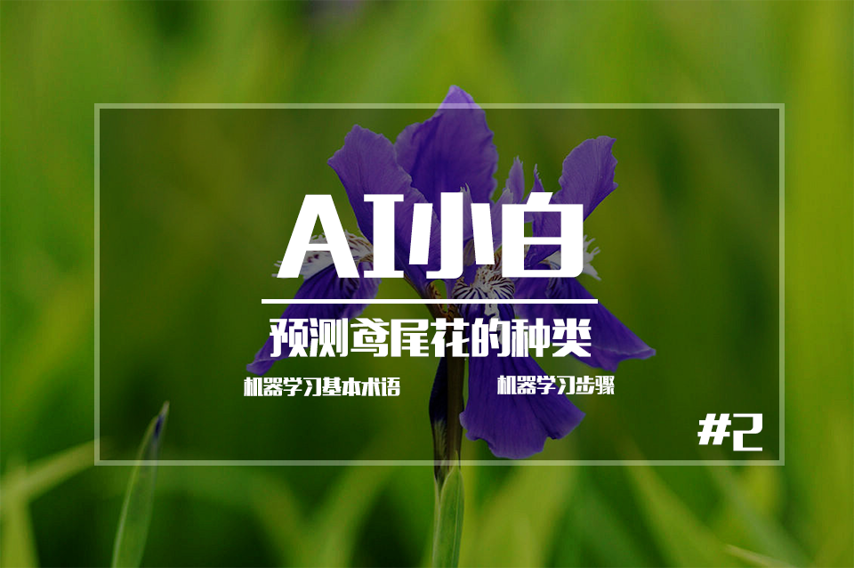 【AI小白】机器学习基本术语